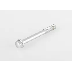 BOLT,6X55