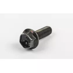 BOLT