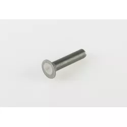 RIVET