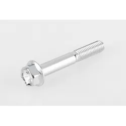 BOLT,8X55