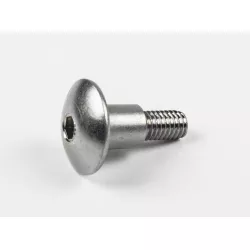 SCREW