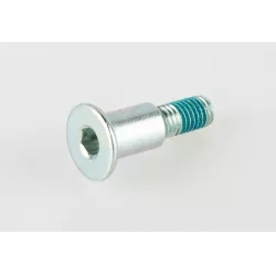 BOLT,CAM CHAIN TENSIONER/GUIDE
