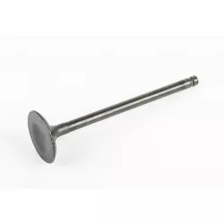 VALVE,EXHAUST