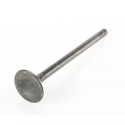 VALVE,EXHAUST