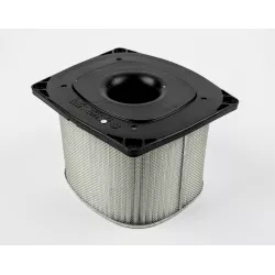 FILTER ASSY,AIR CLEANER