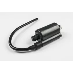 COIL ASSY,IGNITION