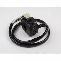 SWITCH ASSY, HANDLE LH