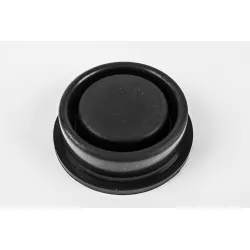 DIAPHRAGM