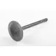 VALVE,INTAKE<br />SOUPAPE