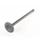 VALVE,EXHAUST<br />VALVE