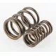 SPRING SET,VALVE<br />VALVE SPRING SET