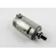 MOTOR ASSY, STARTING