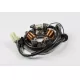 STATOR